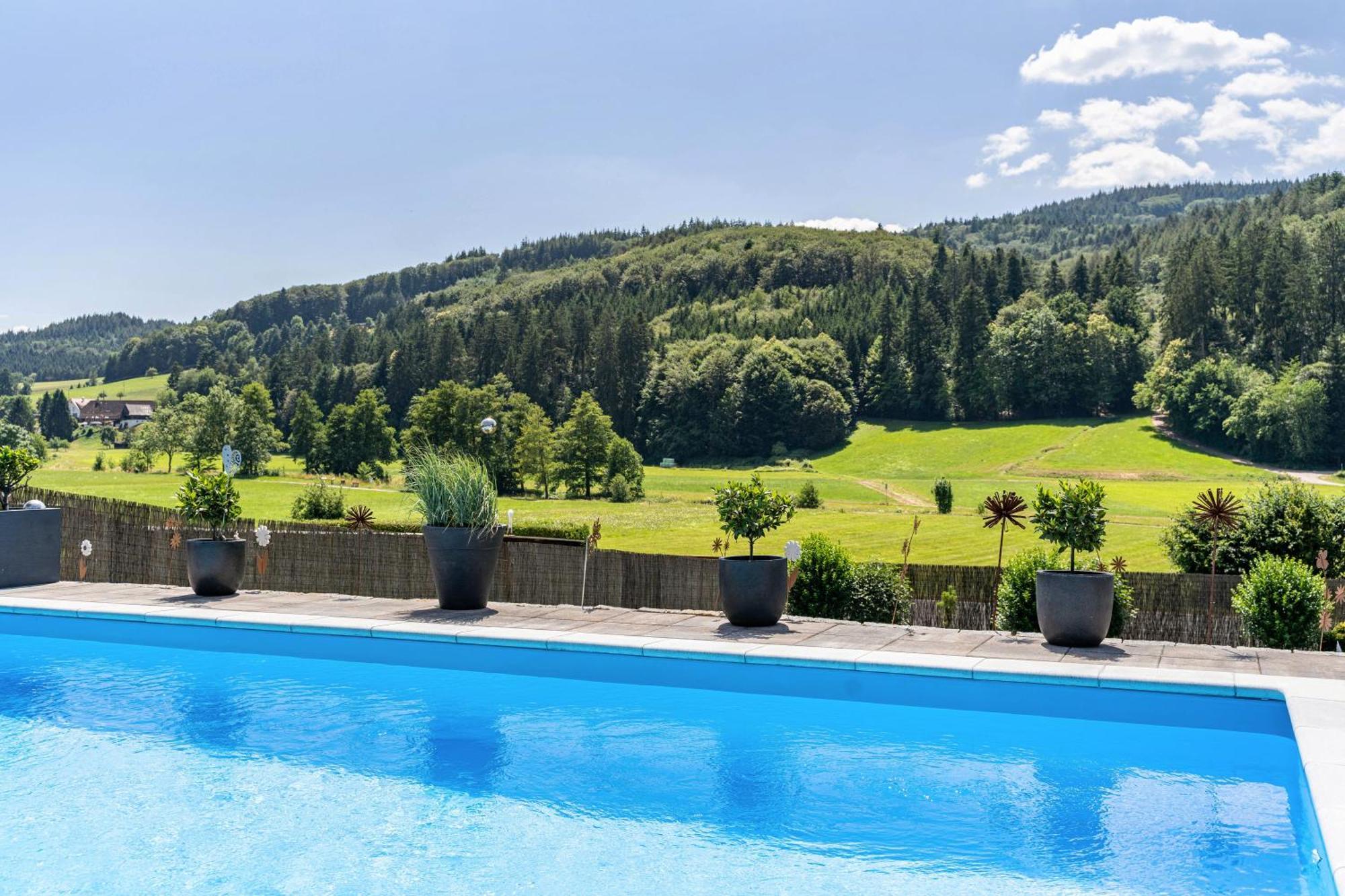 Ferienwohnung Geisbergblick Seelbach  Bagian luar foto